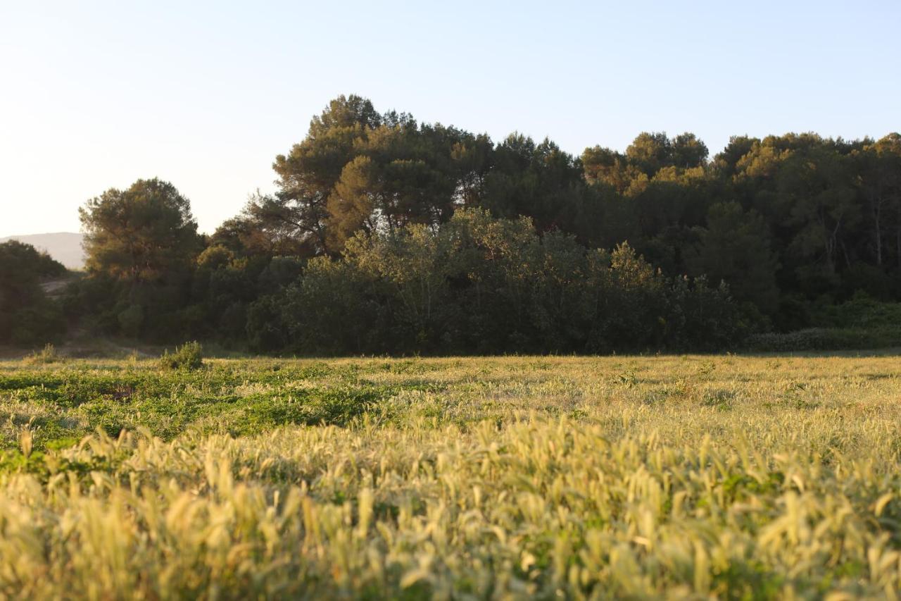 Masia Can Rovira - Esc1852 San Lorenzo de Hortóns Eksteriør billede